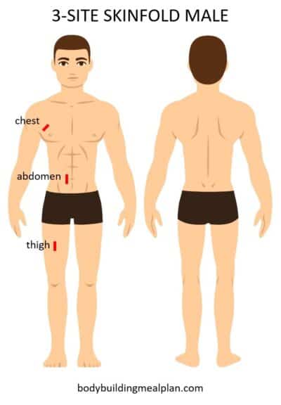 Body Fat Percentage Calculator: Caliper, Circumference, Or Visual