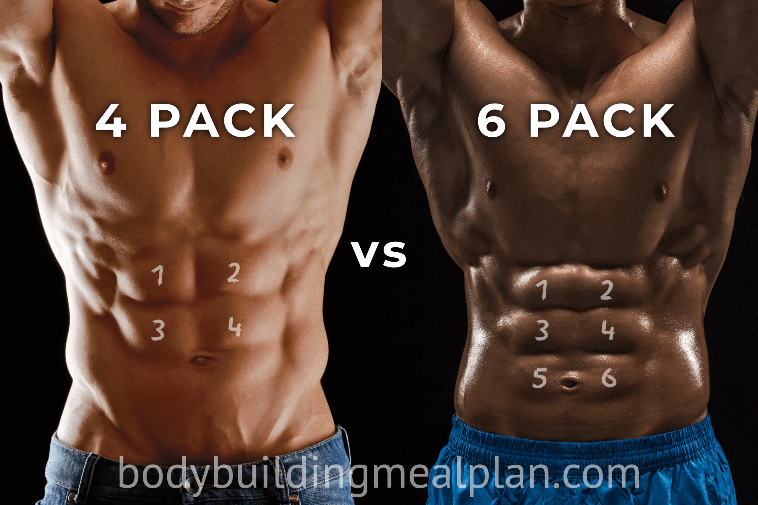 4 Pack Abs Vs 6 8 10 Pack Men Women Genetics Body Fat Percentage Nutritioneering