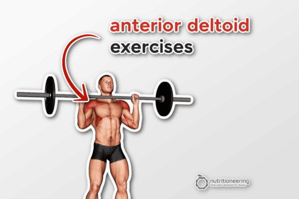 Anterior Deltoid Exercises For Shoulder Size Strength