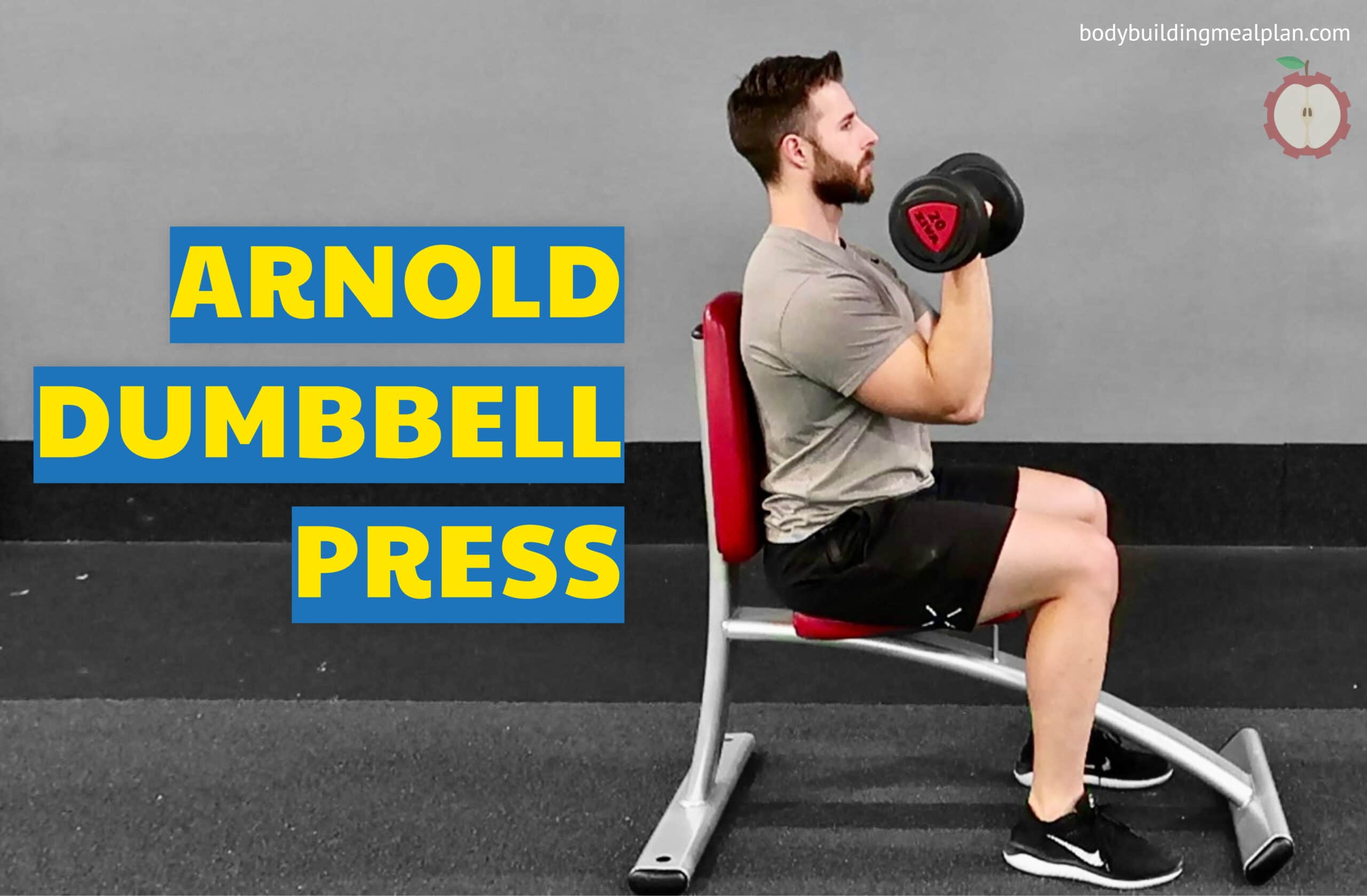 Arnold Back Workout
