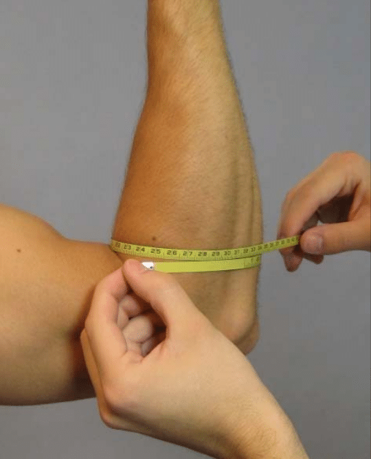 Are 14 Inch Arms Big, Small, or Average? See If They Measure Up