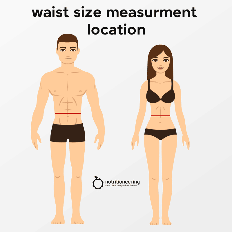 Is a 31 Inch Waist Normal? Waist Size Statistics for Men & Women