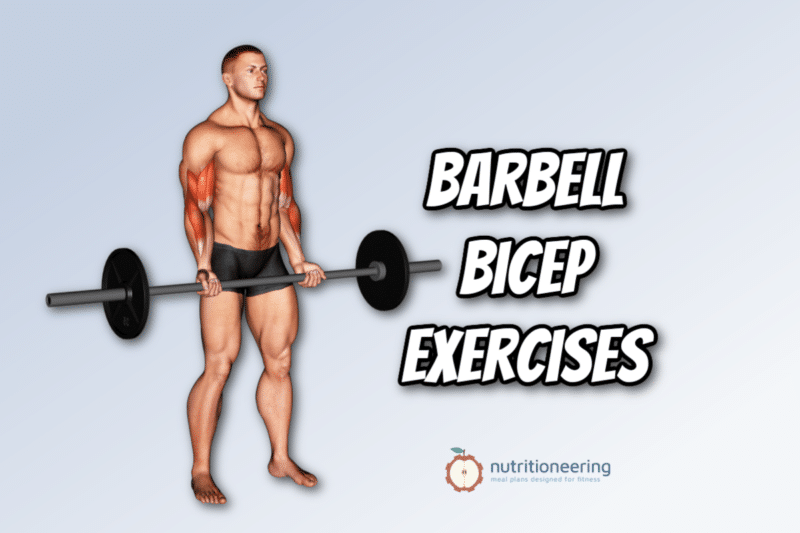 9 Best Barbell Bicep Exercises For Arm Size And Strength 7480