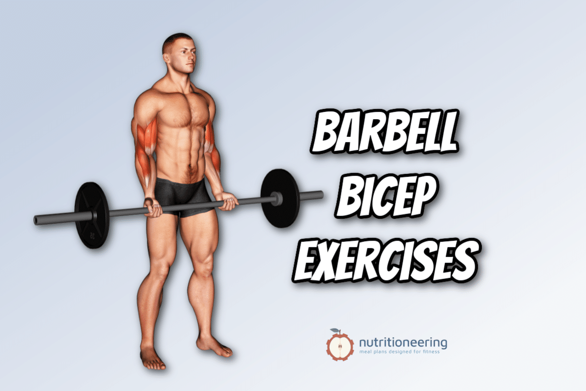5 Best Exercises For Bicep Barbell Workouts To Add Arm Mass