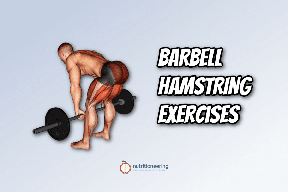 7 Best Barbell Hamstring Exercises (with Videos!)