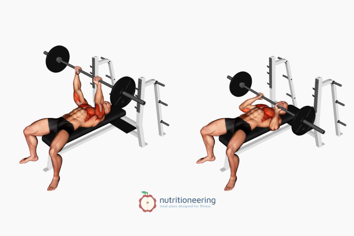 Top 12 Barbell Tricep Exercises for Building Mass & Strength