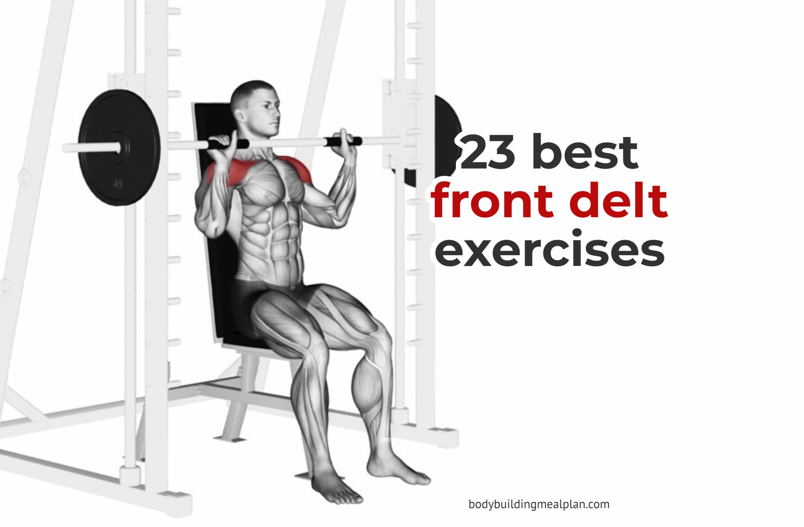 deltoid muscle workout