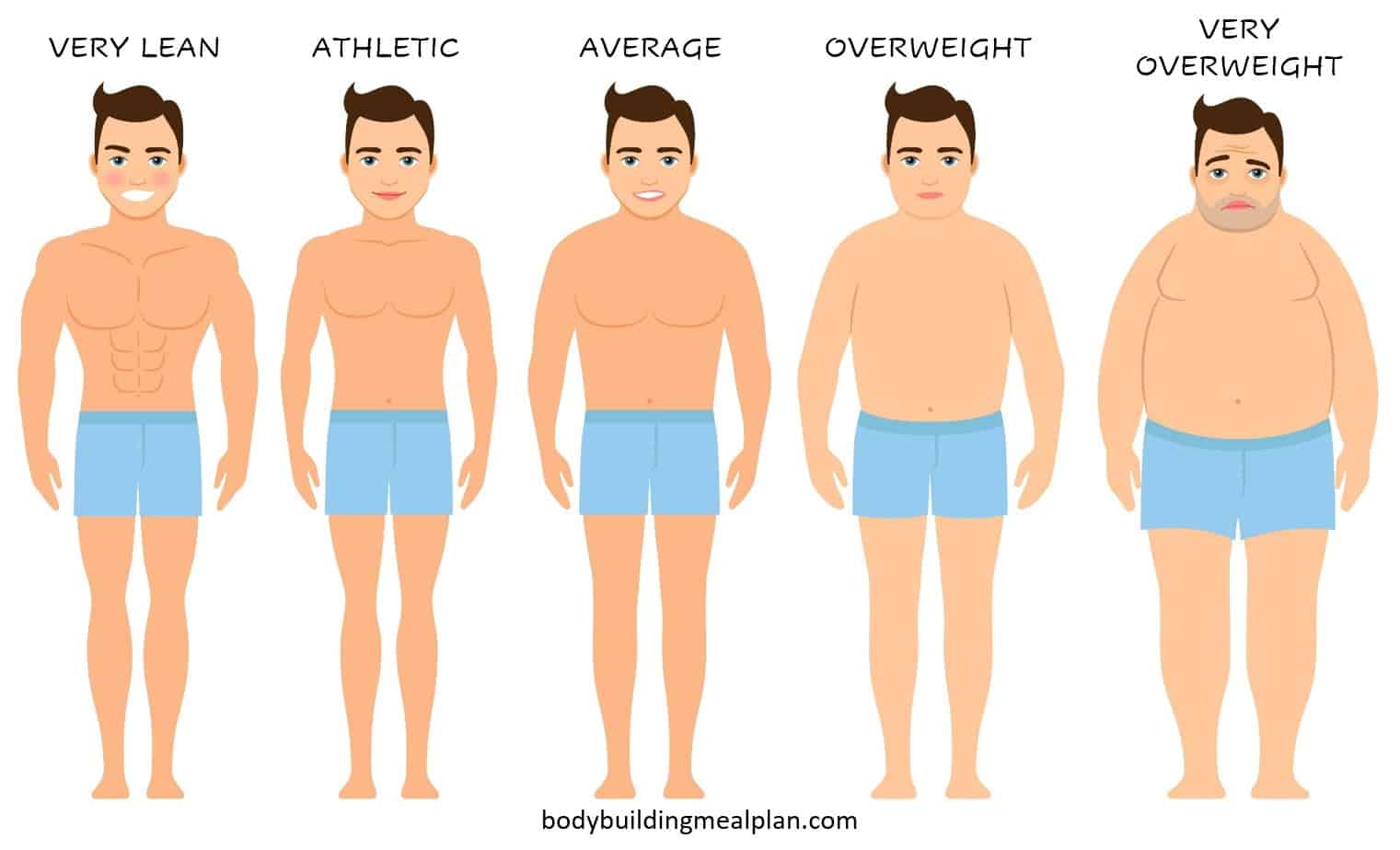 Body Fat Percentage Calculator: Caliper, Circumference, Or Visual