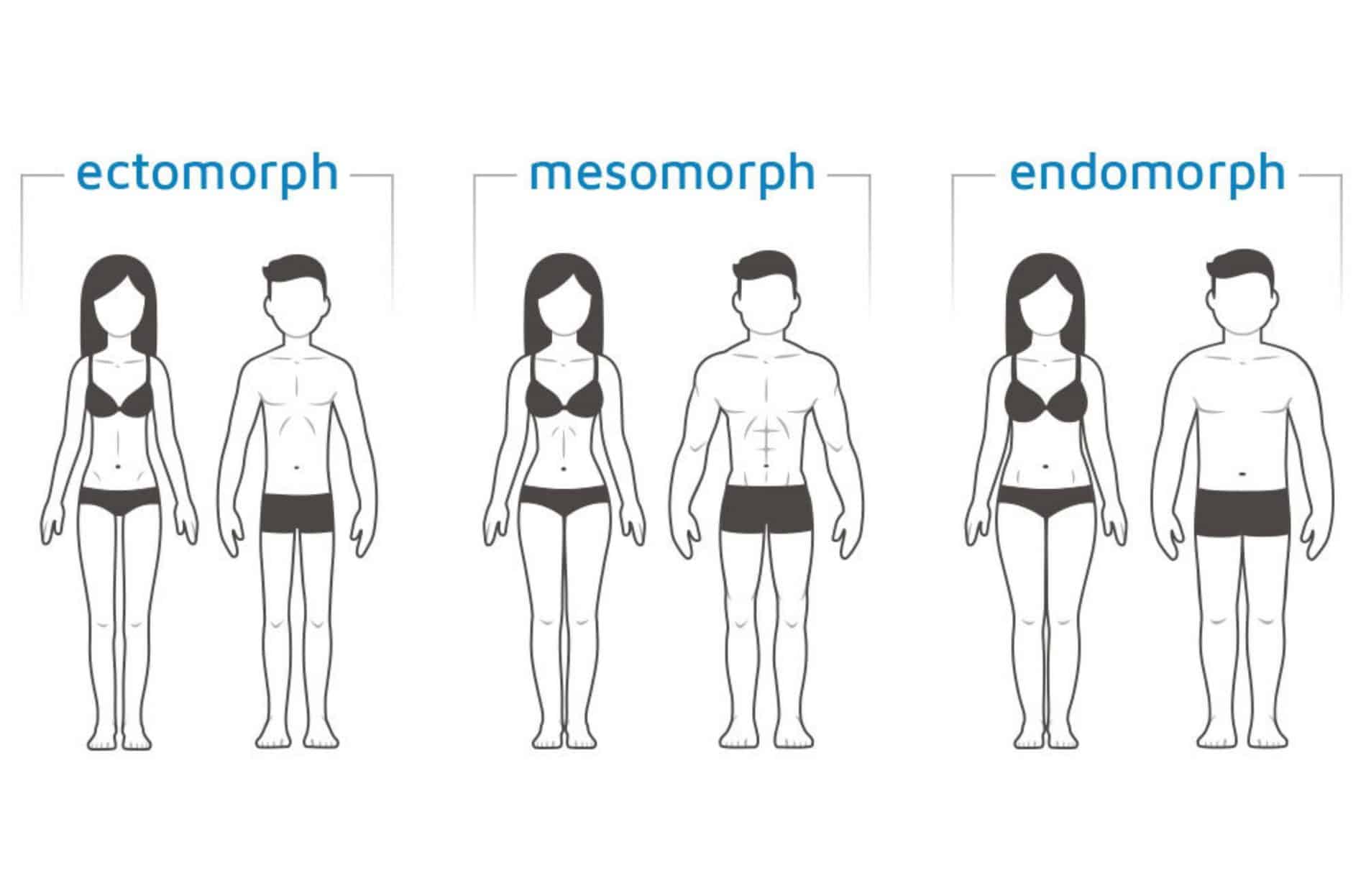 Body Type Dieting: Ectomorphs, Endomorphs, & Mesomorphs