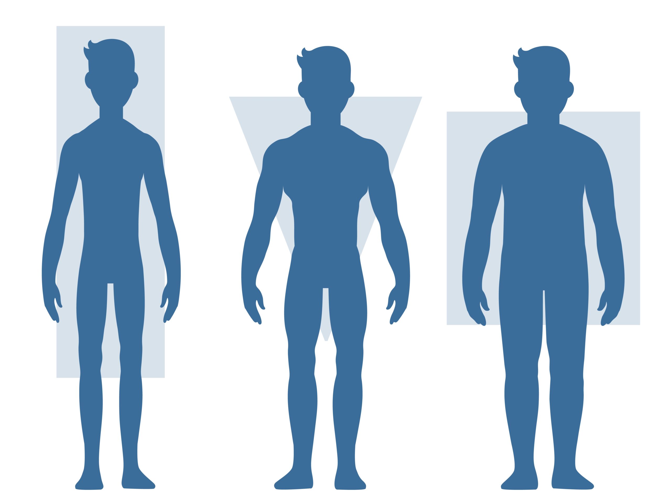 rugby body types