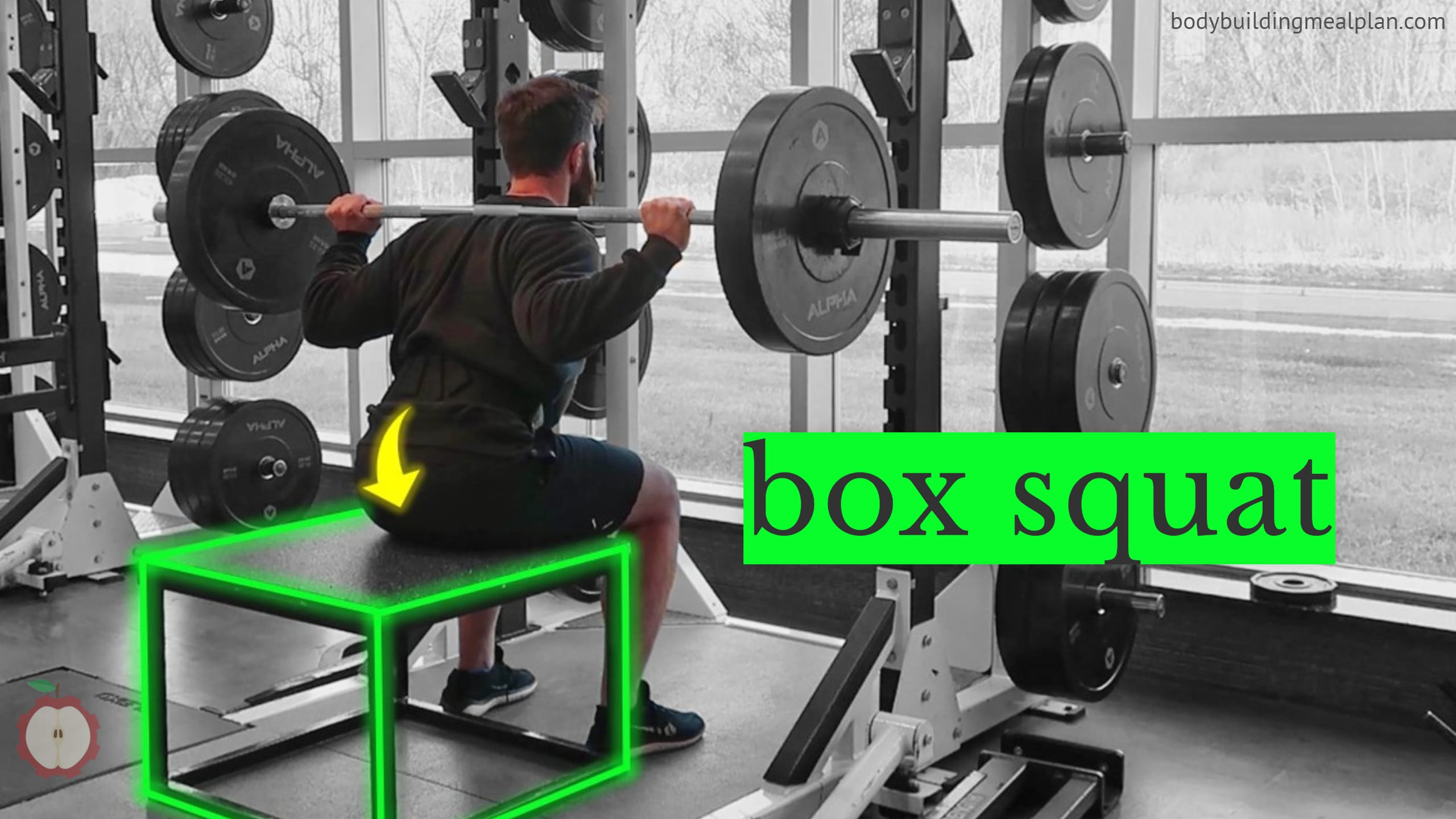 7 Benefits of Box Squats (& How to Box Squat Effectively) Nutritioneering