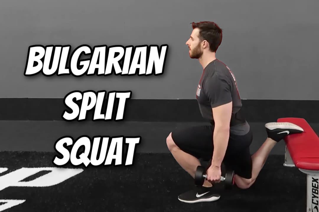 What Muscle Does Bulgarian Split Squat Work? Diagram, Guide and