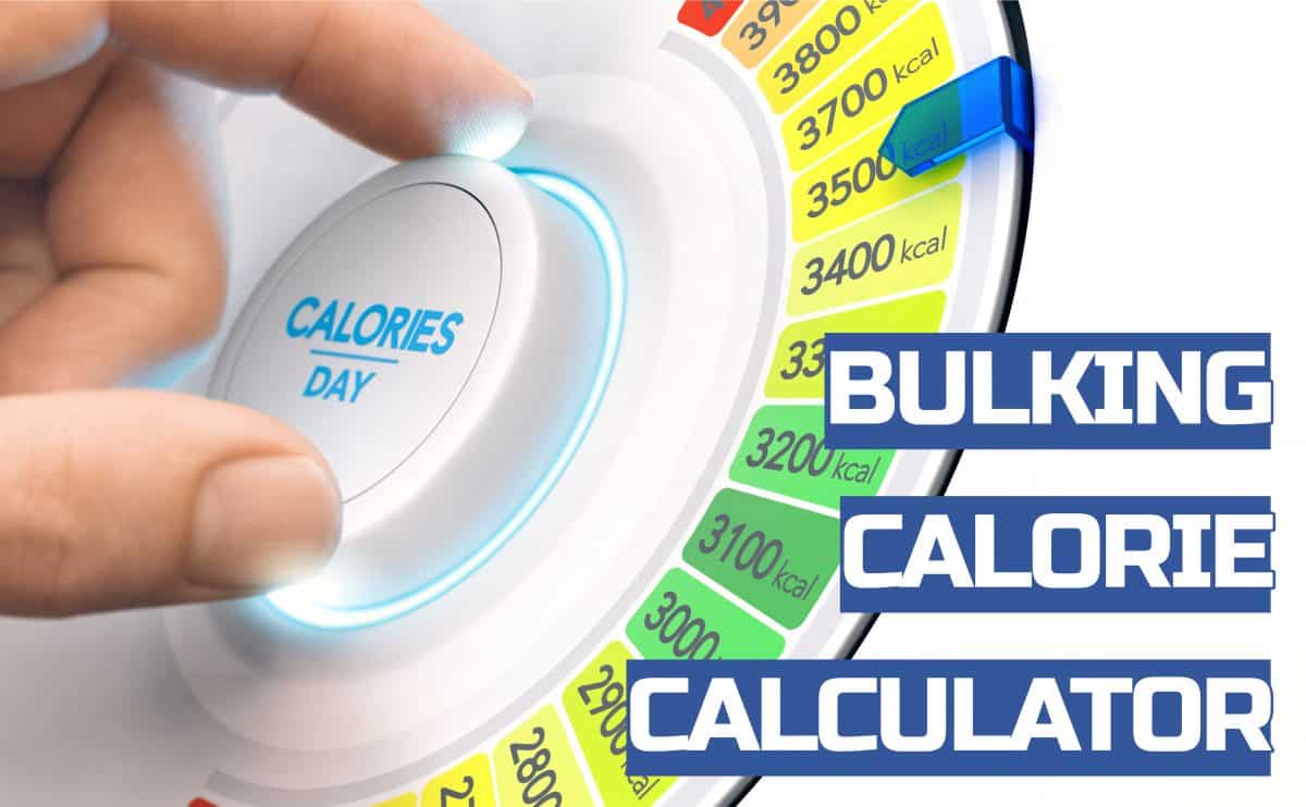 Most Accurate Bulking Calorie Calculator Nutritioneering