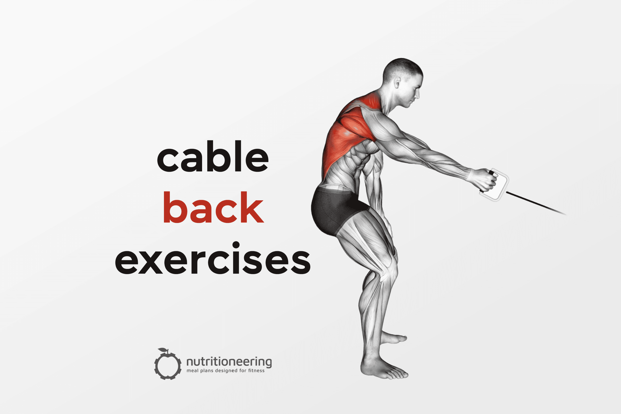 How to Do Cable Close Grip Seated Row: Muscles Worked & Proper Form –  StrengthLog