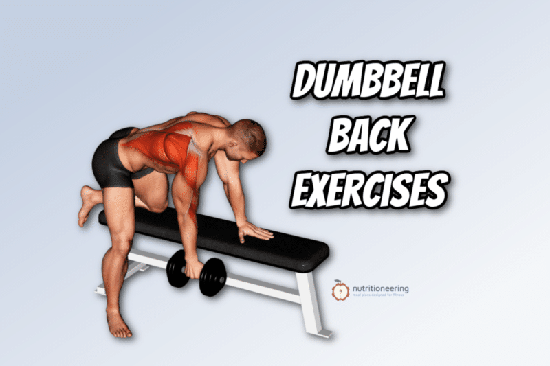 13 Best Dumbbell Back Exercises For Lat Strength And Size 