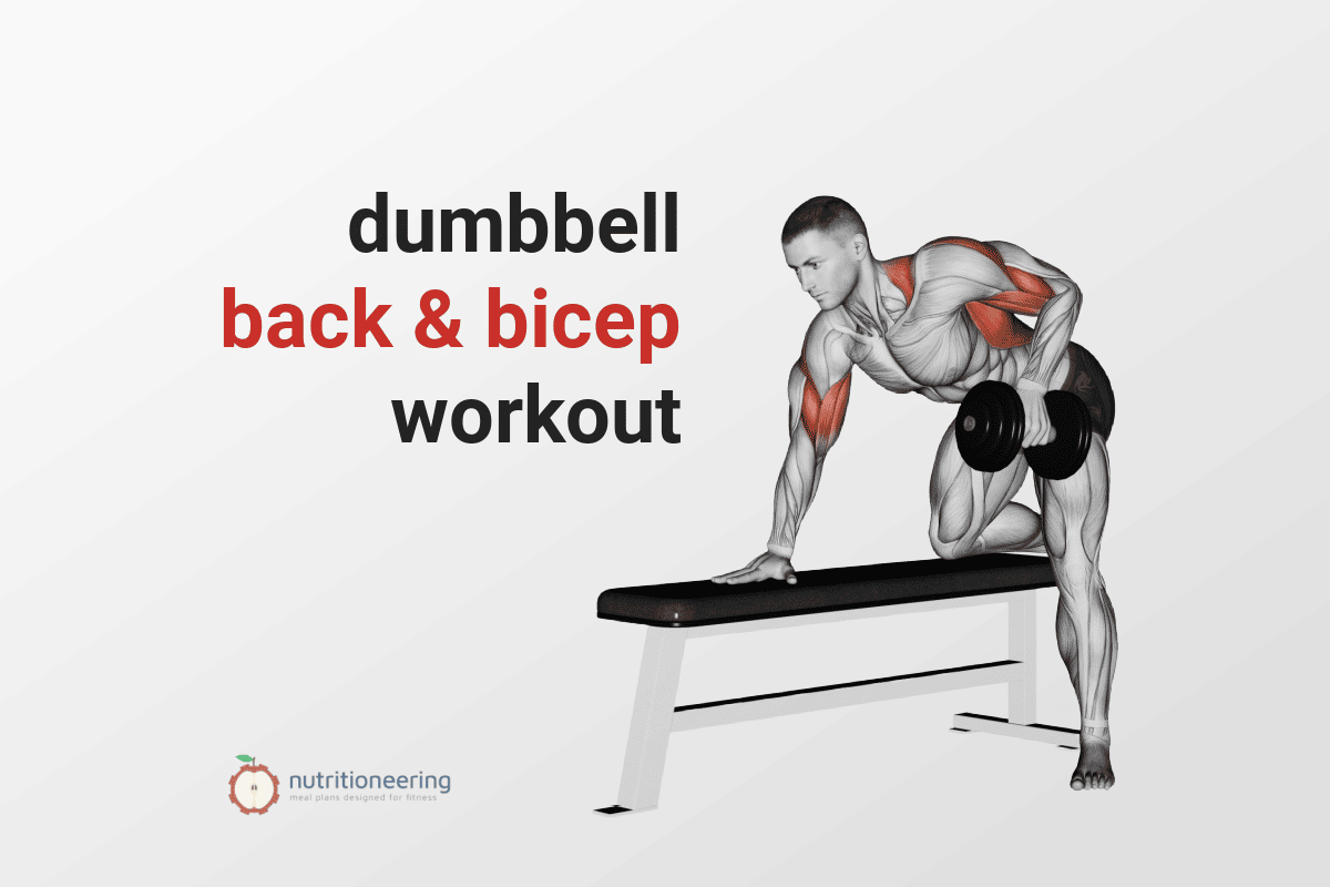 Complete Dumbbell Back and Bicep Workout