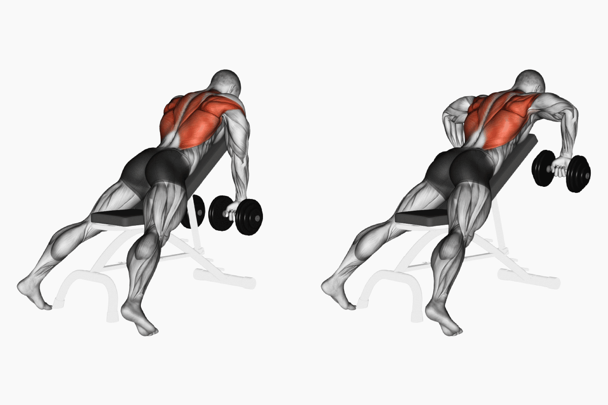 Lat Exercises With Dumbbells