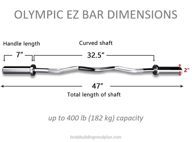 Olympic Barbell Standard Ez Curl Short Bar, Womens Weightlifting Small  Barbell 4ft for Home Gym Training