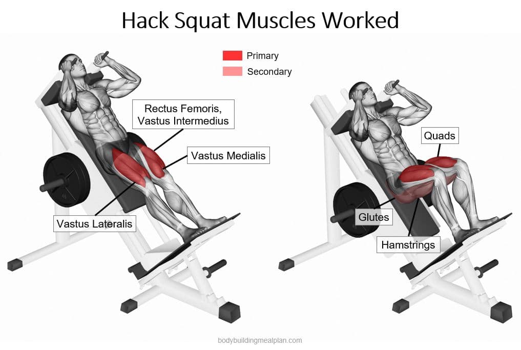 Hack squat: how to do it right and benefits 