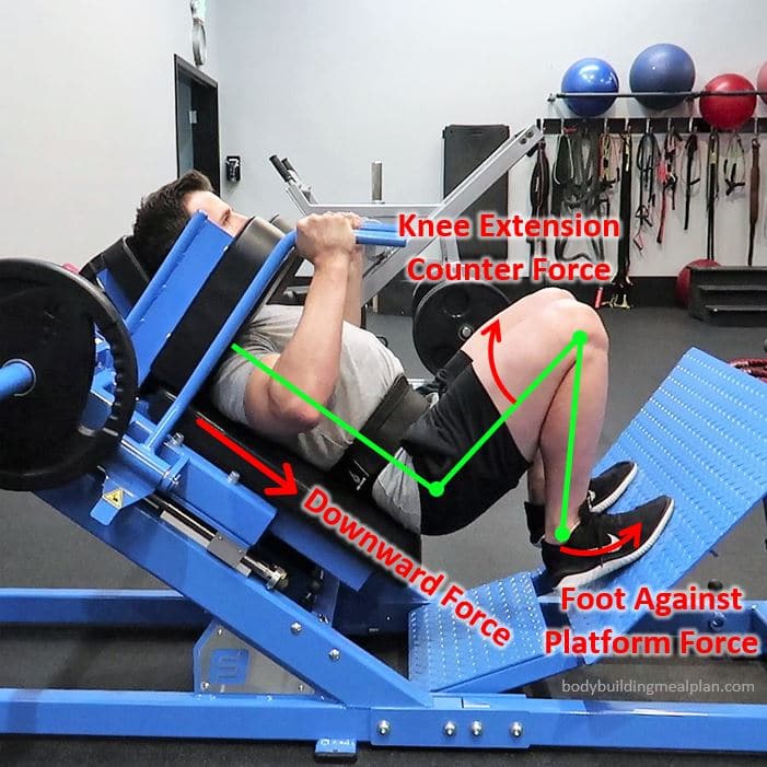 Correct Your Form - Sissy Squats