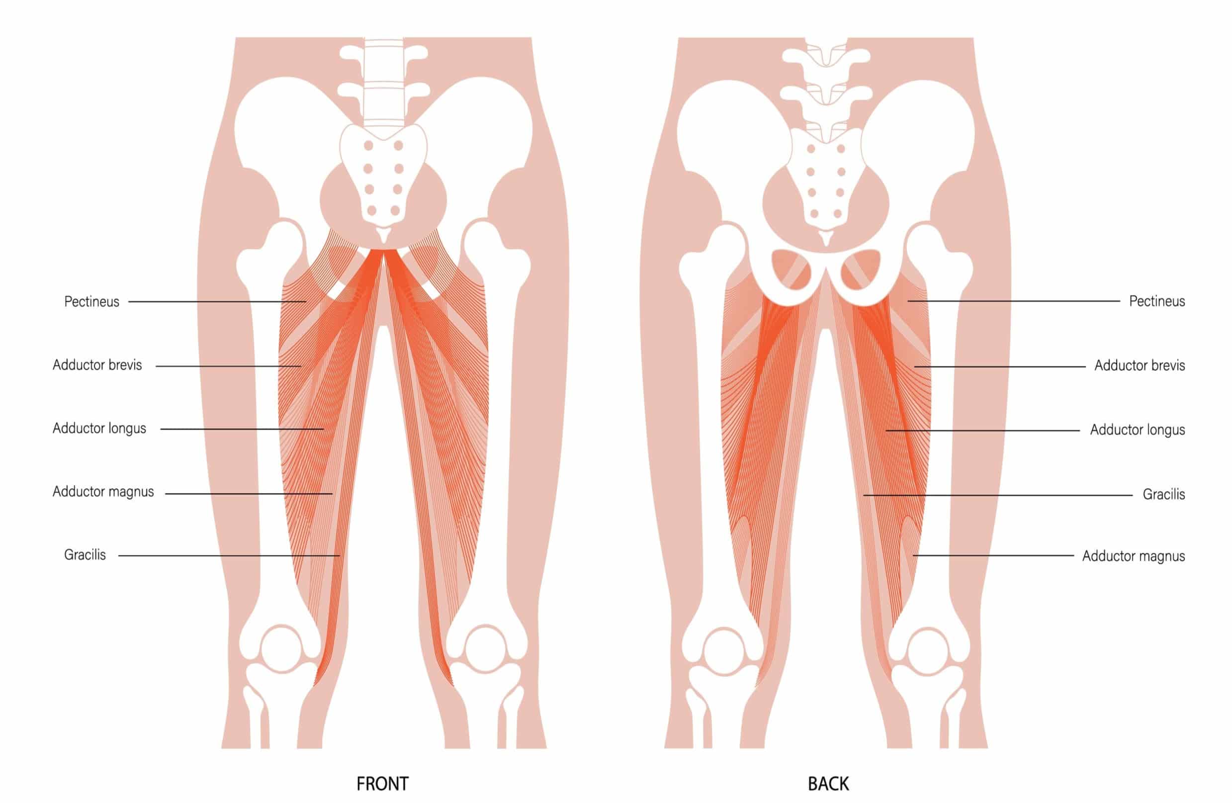 Hip Adductor Stretches To Loosen Tight Groin Inner Thighs