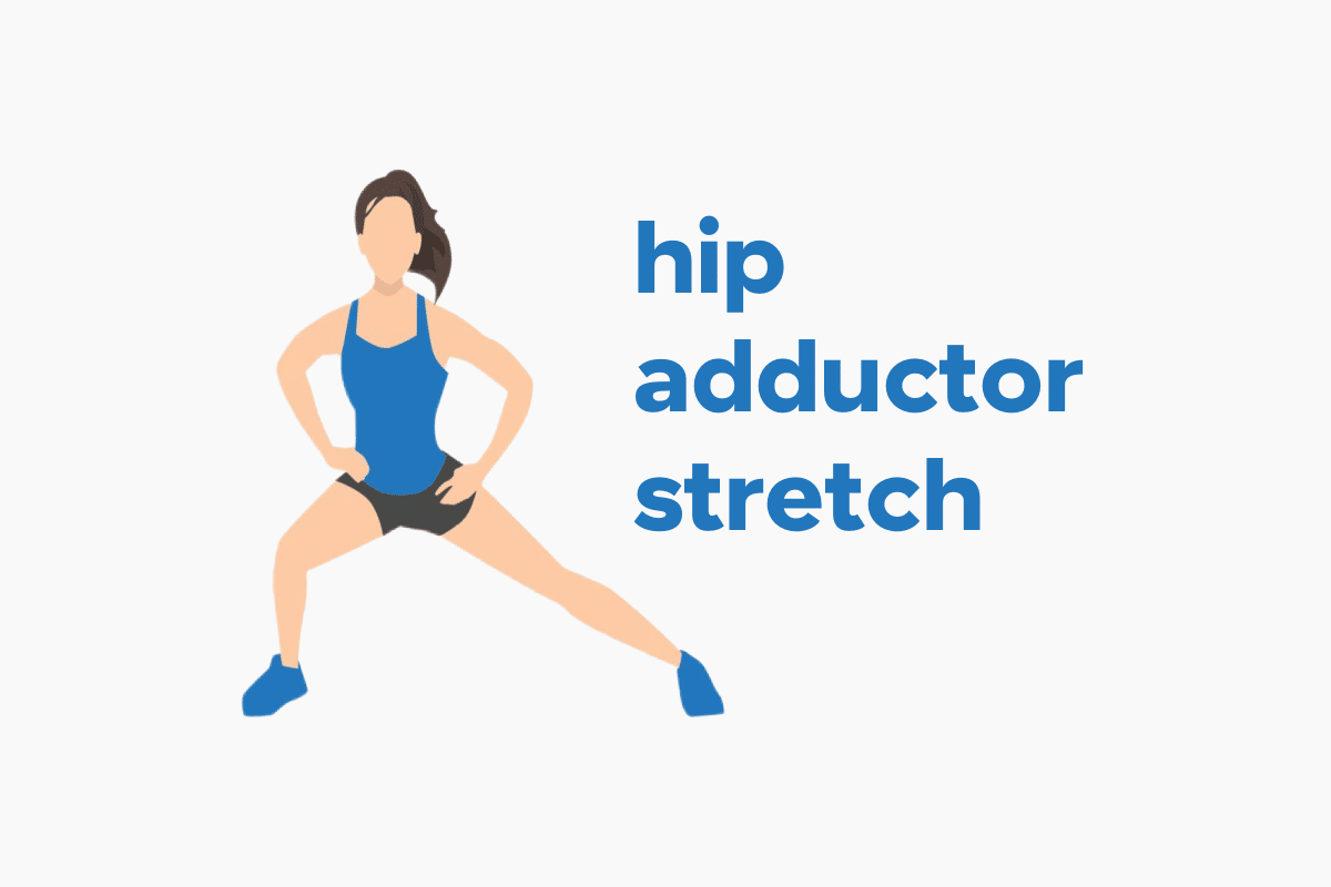 adductor muscle stretches