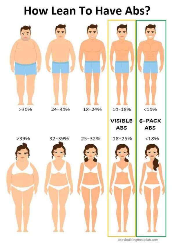 how-long-does-it-take-to-get-abs-calculator-for-men-women