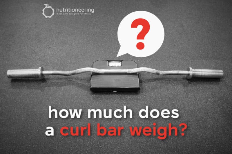 curl-bar-weight-by-type-how-much-does-your-curl-bar-weigh