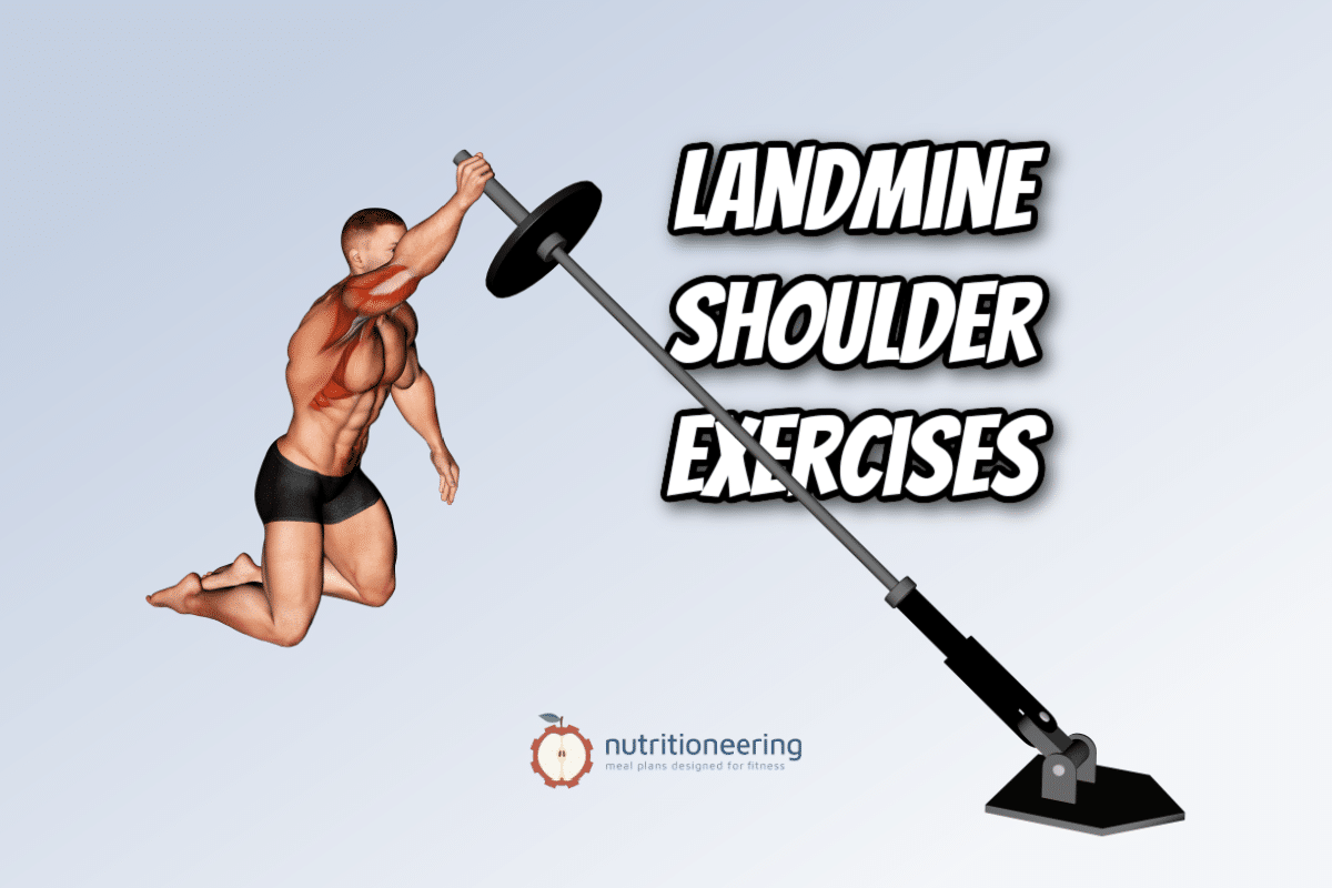 https://www.bodybuildingmealplan.com/wp-content/uploads/Landmine-Shoulder-Exercises.png