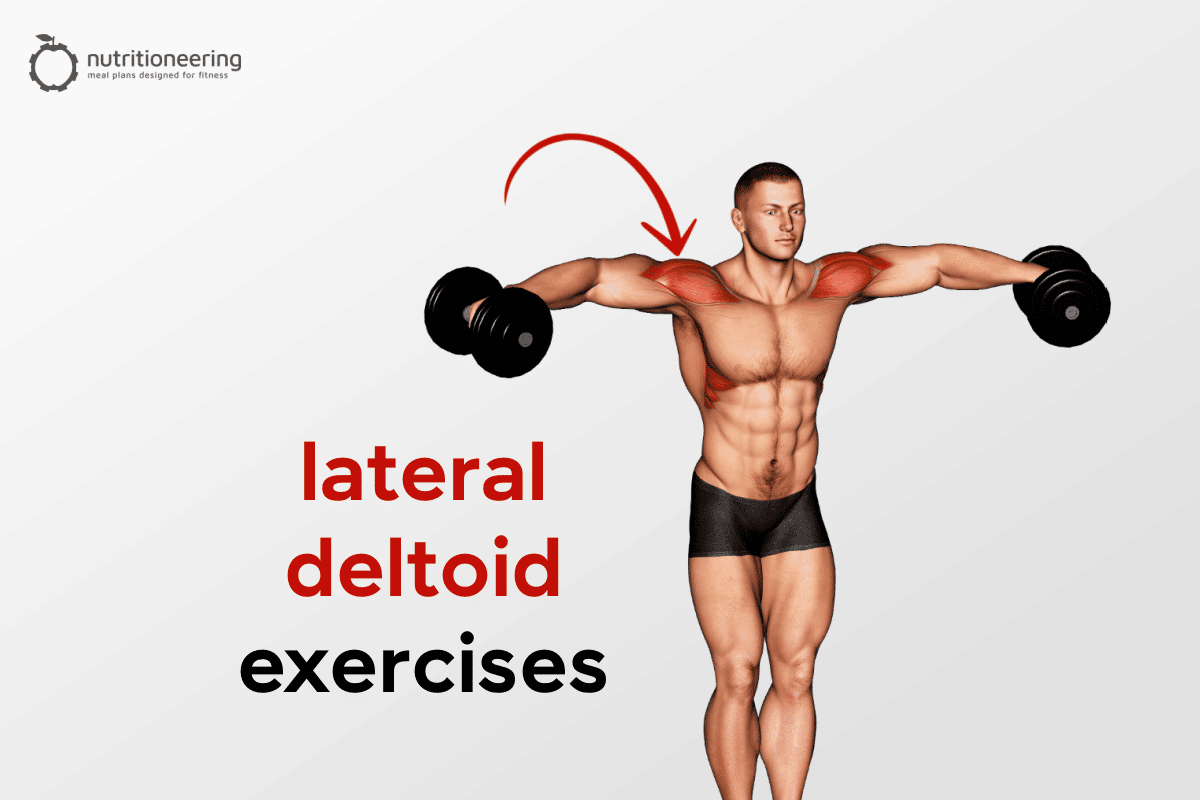 Lateral Deltoid Exercises 