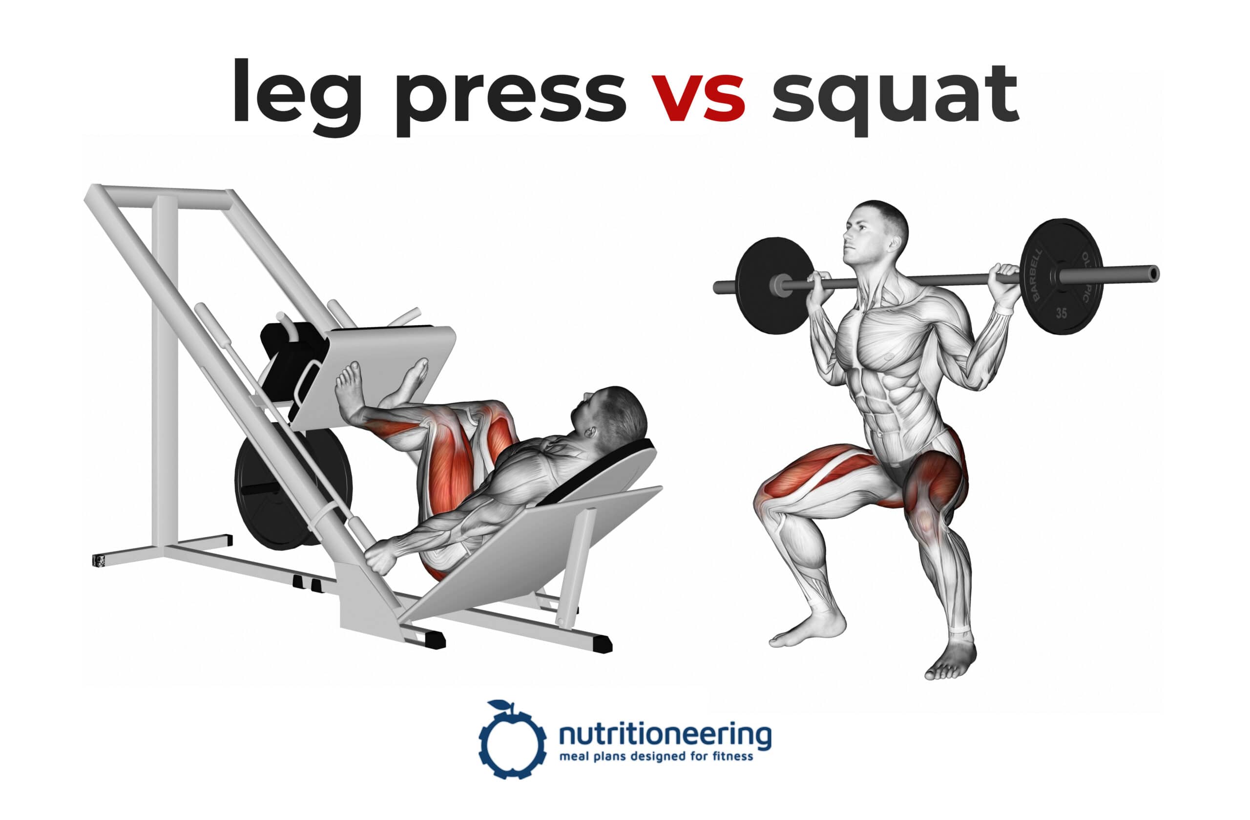 Leg Press vs Squat Mechanics, Muscle Activation, Calories Burned & More