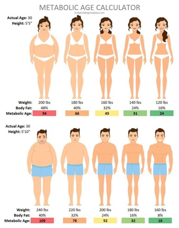 Metabolic Age Calculator + 7 Simple Steps To Lower Metabolic Age