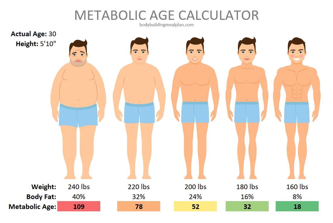 Metabolic Age Calculator + 7 Simple Steps To Lower Metabolic Age