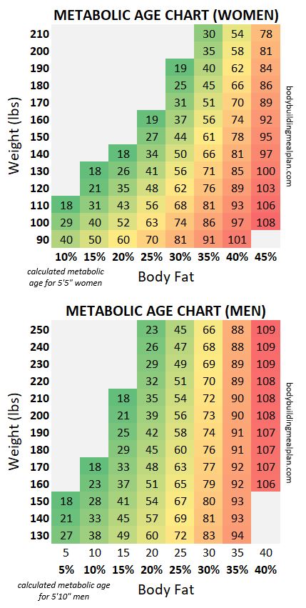 BMR Calculator - Metabolism Calculator (Basal Metabolic Rate)