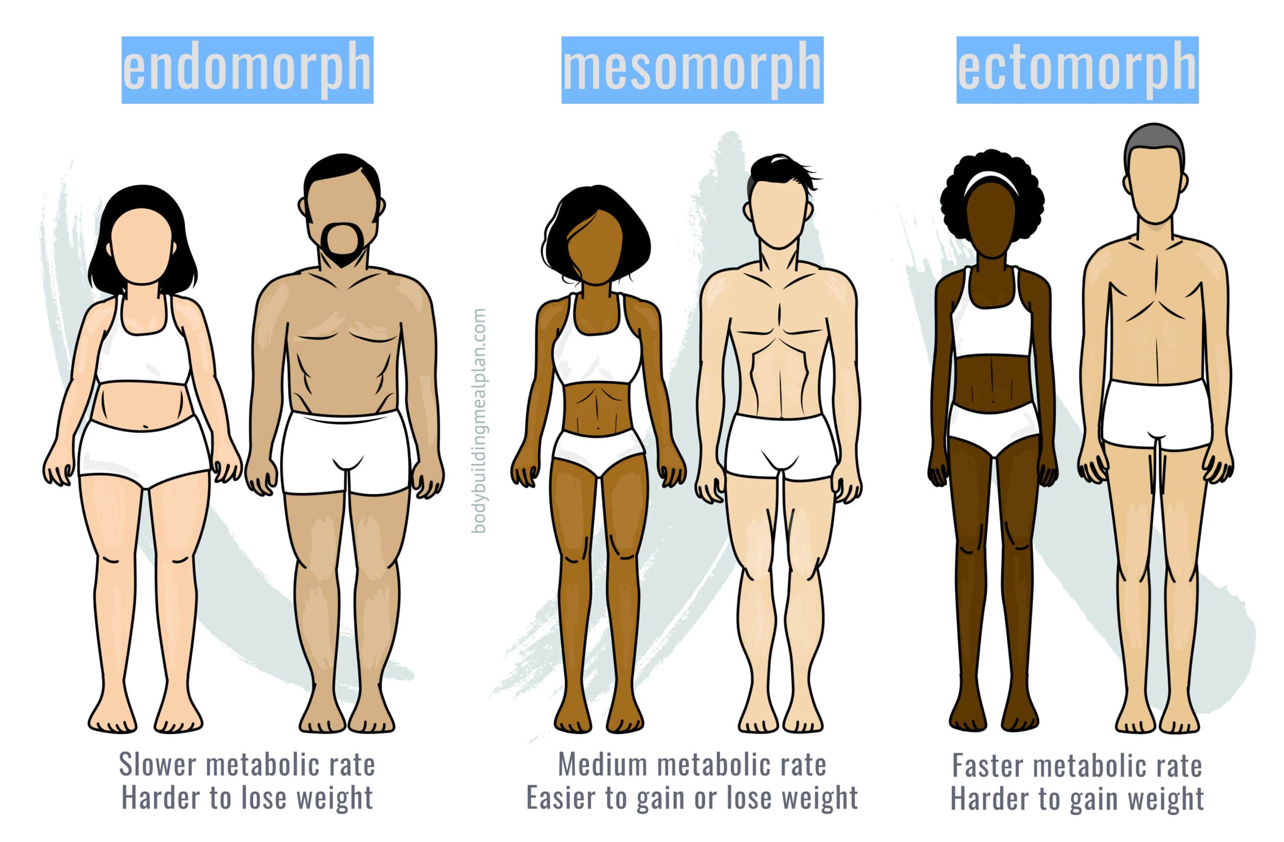 Mesomorph Body Type: Characteristics & Diet Plans - Tua Saúde