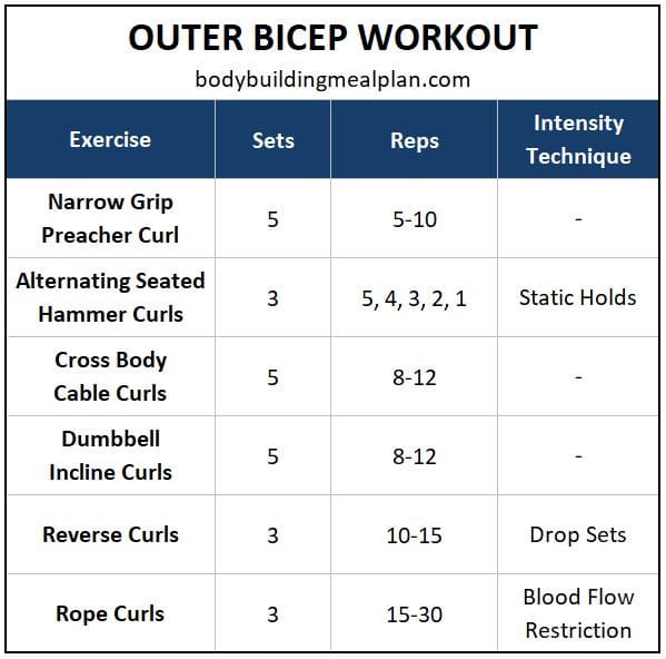biceps workout chart