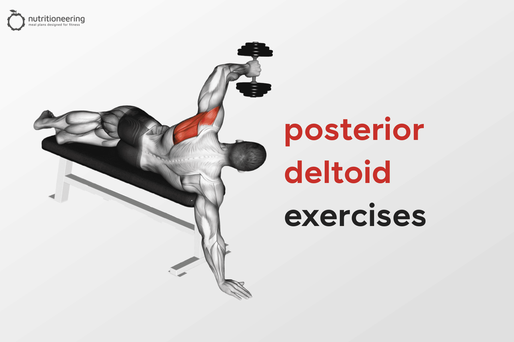 posterior deltoid stretch