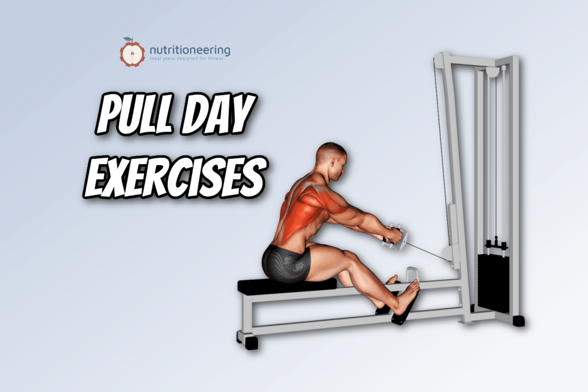 43 Pull Day Exercises for Upper & Lower Body Workout