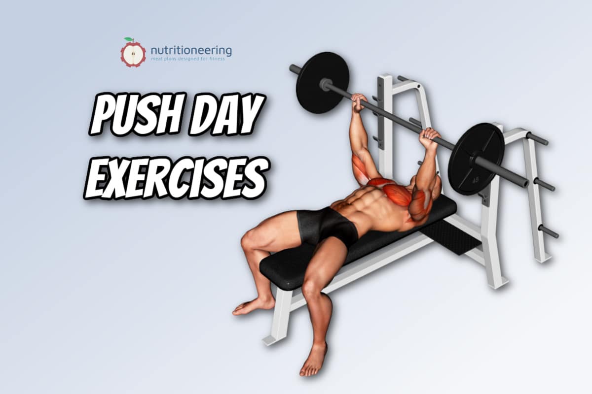 List of 40 Best Push Day Exercises for Upper & Lower Body