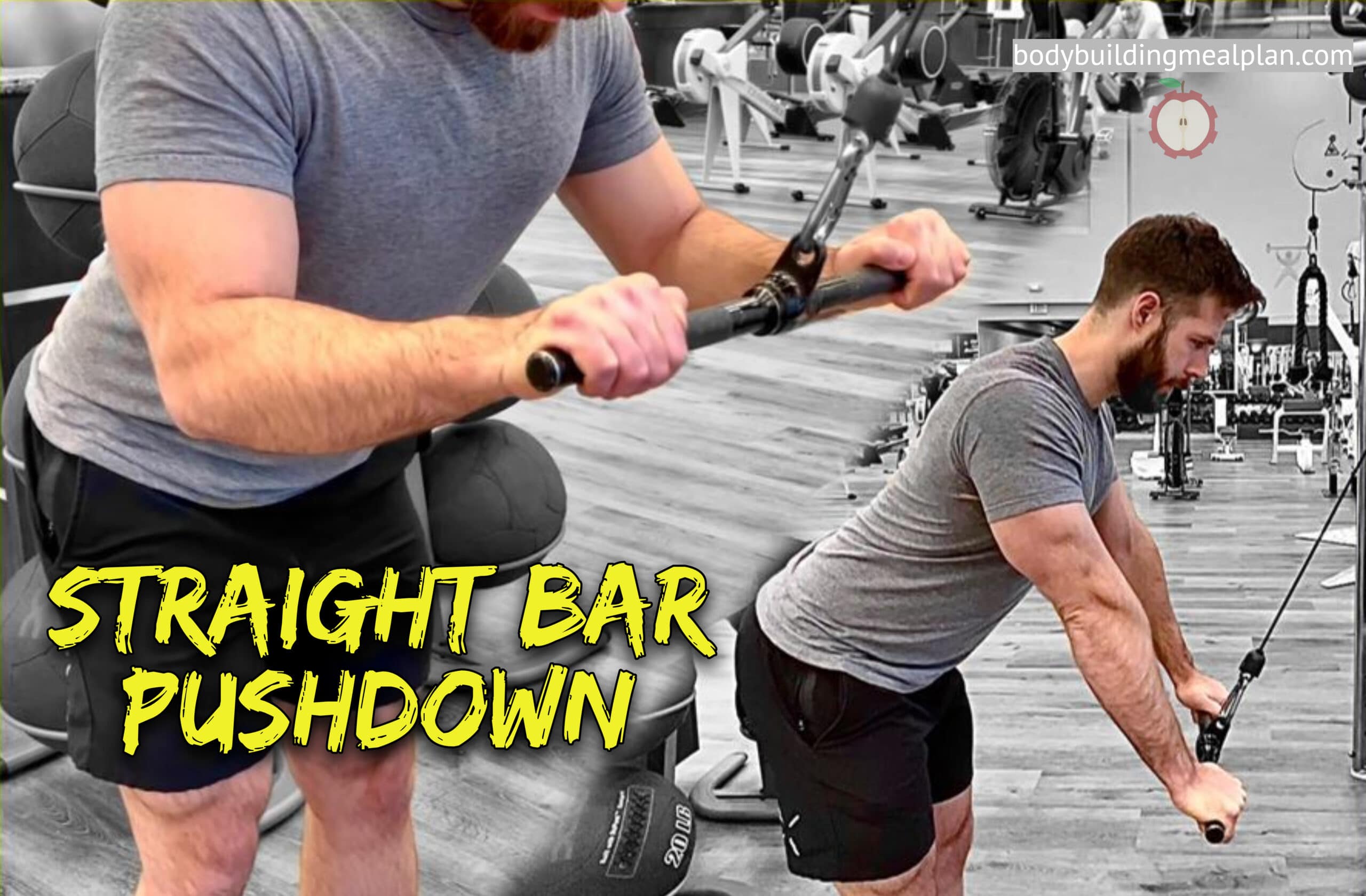 Straight Bar Pushdown (Overhand Grip) Benefits & Form w/ Video