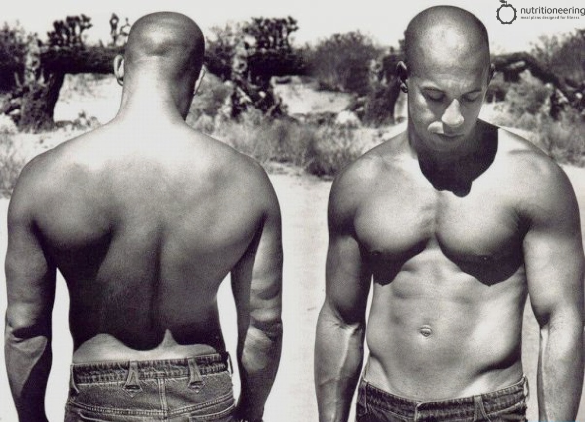 Vin Diesel Height and Weight Compared to Other Celebrities