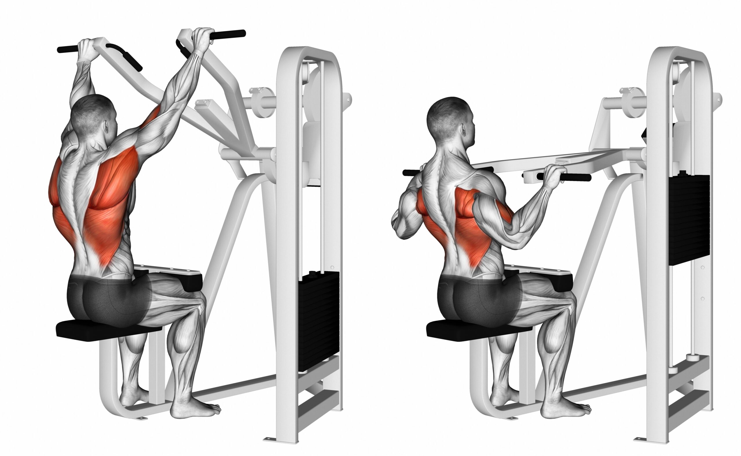 Wide-Grip Lat Pulldowns / Pull Downs / Pullovers – WorkoutLabs