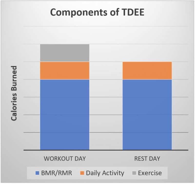 Free TDEE Calculator: Find Out How Many Calories You Burn