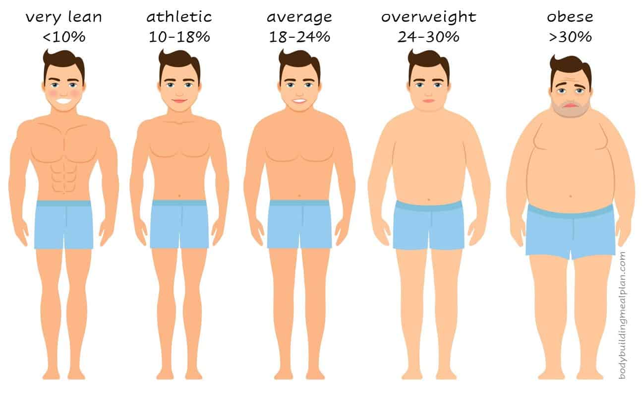 Why You Need To Know Your Body Fat Percentage Greenba - vrogue.co