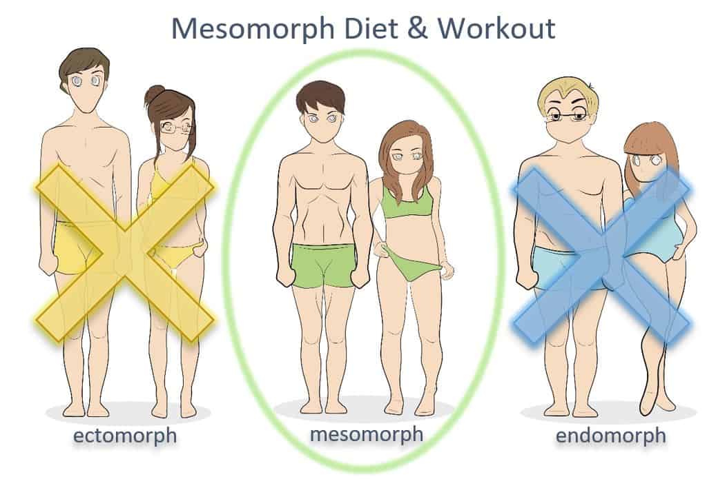 Body Type Dieting: Ectomorphs, Endomorphs, & Mesomorphs