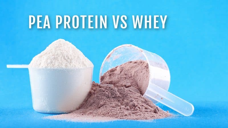 Pea Protein Vs Whey An Unbiased Comparison Nutritioneering 1273